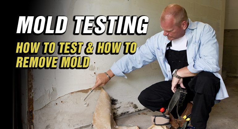 Testing For Mold | Make It Right® - Home Safety & Maintenance